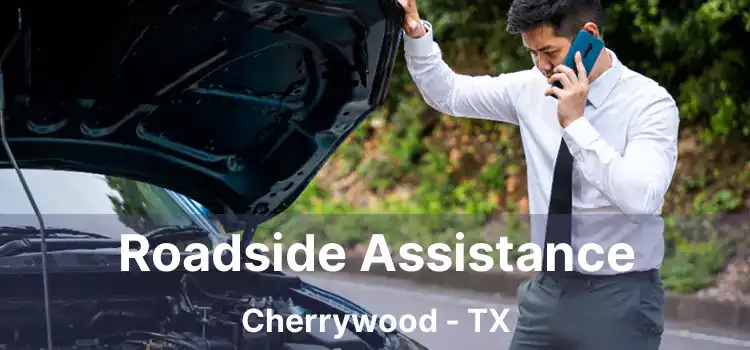 Roadside Assistance Cherrywood - TX