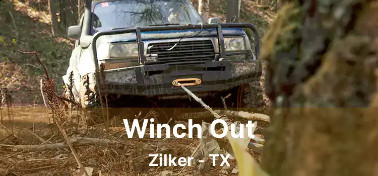 Winch Out Zilker - TX